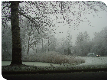 Sneeuwlandschap