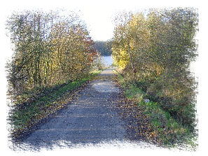Pad in de herfst