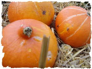 Pompoentjes