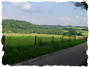 Landschap